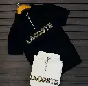 LACOSTE 2.webp